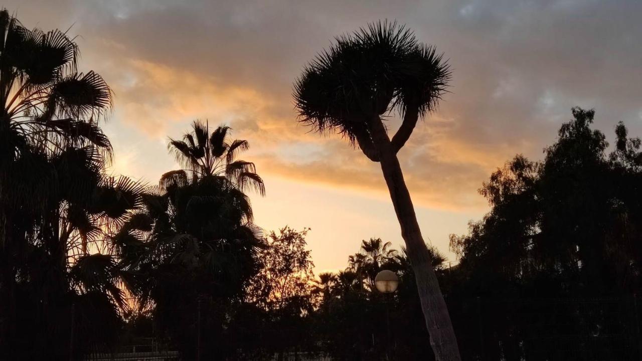 פלאייה דה לאס אמריקס Paraiso Altemar, Duplex Las Americas מראה חיצוני תמונה