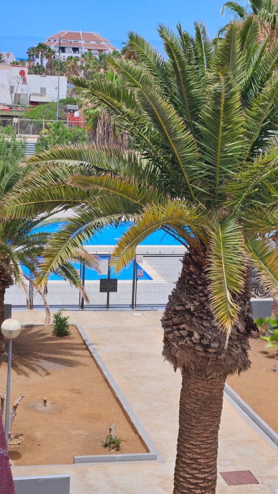 פלאייה דה לאס אמריקס Paraiso Altemar, Duplex Las Americas מראה חיצוני תמונה